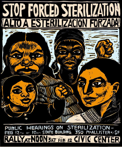 Linolschnitt von BIPoC Flintas in weiss und orange mit dem Text Stop Forced Sterilization Rally